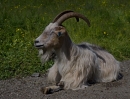 imgp8863