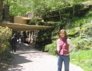 img00005