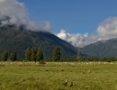 imgp8010