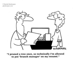 job_search_manager